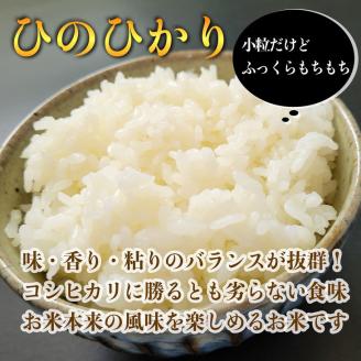 無洗米 10kg （5kg×2袋） 京都丹波産 ヒノヒカリ ※受注精米《米 白米 ひのひかり ふるさと納税 無洗米 亀岡そだち》 ※北海道・沖縄・離島への配送不可