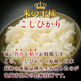 無洗米 10kg （5kg×2袋） 京都丹波産 コシヒカリ ※100セット限定 ※受注精米《米 白米 こしひかり ふるさと納税 無洗米 亀岡そだち》 ※北海道・沖縄・離島への配送不可