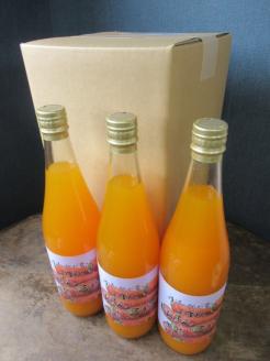 いずみの にんじん と 果実の ジュース◇【京都 丹波 の地が育てた 野菜 と 果物】《100% 人参 梨 健康 飲みやすい》