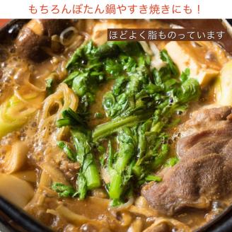 【期間限定】丹波亀岡 天然しし肉 セット 500g×2パック 計1kg《ロース もも 焼肉 BBQ バーベキュー ぼたん鍋 すき焼き 豬 猪肉 ジビエ》