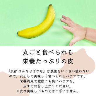 『京都はんなりばなな』1kg 皮まで食べられる 国産バナナ【訳あり】《栽培期間中農薬不使用 京都初 亀岡産 希少 規格外 フルーツ》 ※離島への配送不可