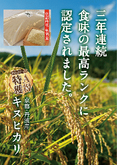 【定期便】令和5年産 米 10kg 12ヶ月 京都丹波産 キヌヒカリ 白米＜JA京都 たわわ朝霧＞ 12回定期便 10kg（5kg×2袋）×12回 計120kg 毎月発送に合わせて精米 京都丹波産