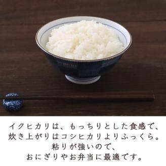 【数量限定】訳あり＜ワイワイ・ファーム＞京都府亀岡産いくひかり 5kg×2袋 計10kg≪京都 丹波 産地 農家 直送 ご飯 お弁当 令和5年産 米≫