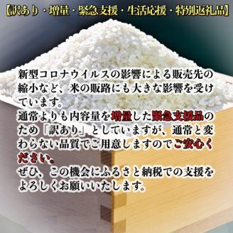 【定期便】令和5年産 米 10kg 12ヶ月 京都丹波産 コシヒカリ 白米＜JA京都 たわわ朝霧＞ 12回定期便 10kg（5kg×2袋）×12回 計120kg 毎月発送に合わせて精米 京都丹波産