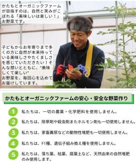 【2026年産 予約】にんにく 1kg 京都府・亀岡産 自然栽培のかたもとオーガニックファームよりお届け ※離島への発送不可 ※2026年6月下旬～10月下旬頃に順次発送予定