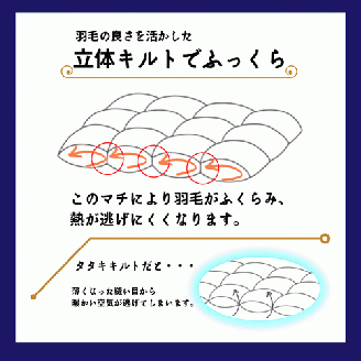 ＜京都金桝＞羽毛布団 『シングル』カバー付き ハンガリーホワイトダウン90％ 1.3kg 日本製 冬用 布団 ボリューム 新生活 京都亀岡産