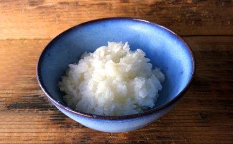 龍善ブルー ご飯茶碗  大サイズ