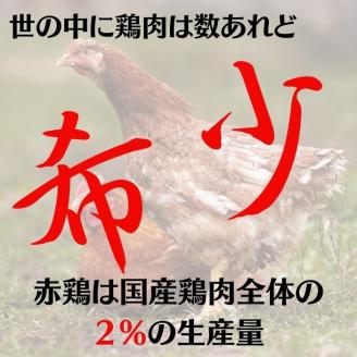 丹波赤どり もも肉＆むね肉 4kg セット（各2kg）京都亀岡丹波山本《鶏 鶏肉 モモ モモ肉 ムネ ムネ肉 業務用 訳あり》