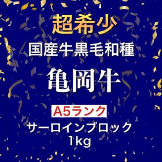 亀岡牛 A5 サーロイン ブロック 1kg【2023年近畿東海北陸連合肉牛共進会  農林水産大臣賞受賞牛】超希少 プレミアム返礼品 木曽精肉店 牛肉 ステーキ