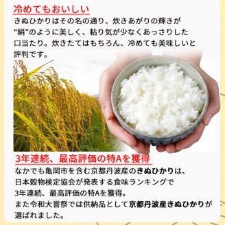 定期便 無洗米 5kg 6ヶ月 京都丹波産 キヌヒカリ 6回定期便 5kg ×6回 計30kg ※受注精米《米 白米 きぬひかり 5kg 6回 計30キロ ふるさと納税 無洗米 大嘗祭供納品種》