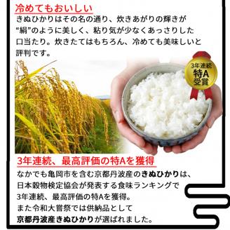 定期便 無洗米 10kg 12ヶ月 真空パック 京都丹波産 キヌヒカリ 12回定期便 10kg （2kg×5袋） 12回 計120kg ※受注精米