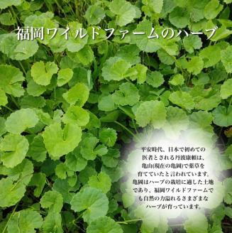 ～至極のひととき～ 天然ハーブのリキュール『蛇谷プレミアム』専用木箱入 720ml《京都 亀岡 蛇谷産天然ハーブ お酒 40度 ギフト ハーブ酒》 ※離島への配送不可 ※着日指定不可