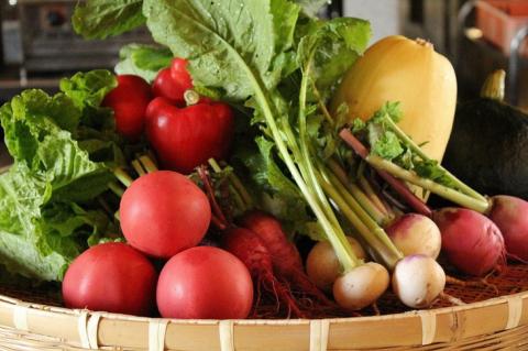 宿泊券 ＆ 自家農園野菜 温泉 京都 野菜定期便 年6回お届け【湯の花温泉 里山の休日 京都・烟河】ペア 1泊2食付 (露天風呂付 スイート客室）≪京都 旅行 温泉 旅館 ホテル 観光 トラベル チケット クーポン 旅行券 オールインクルーシブ 8つのサービス無料≫