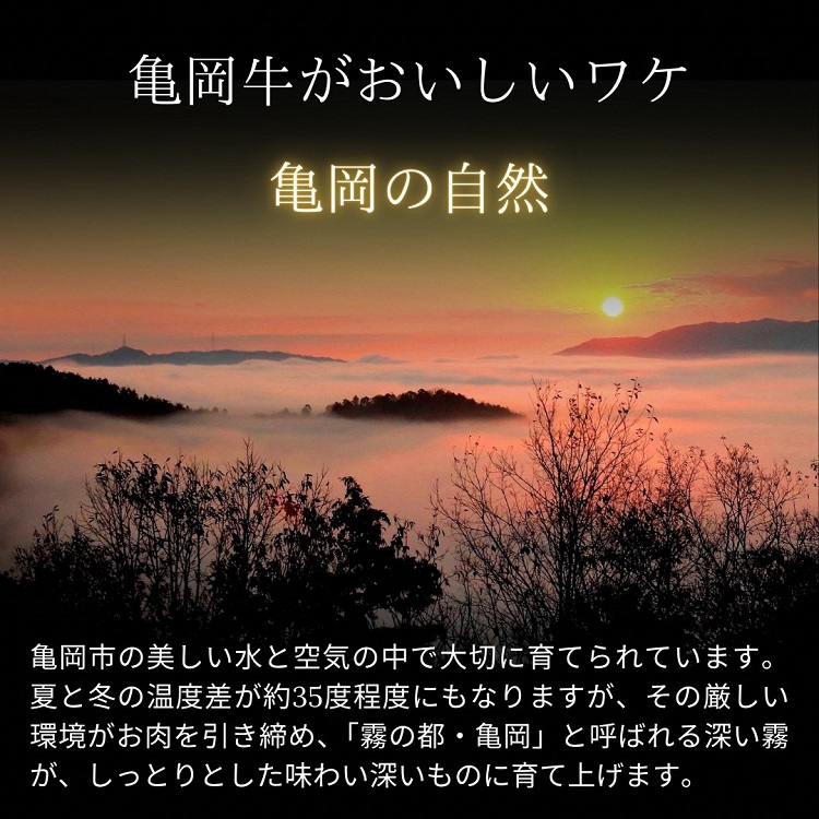 「亀岡牛」サーロインステーキ　5枚（1000ｇ）☆祝！亀岡牛 2023年最優秀賞（農林水産大臣賞）受賞 ※北海道・沖縄・離島への配送不可