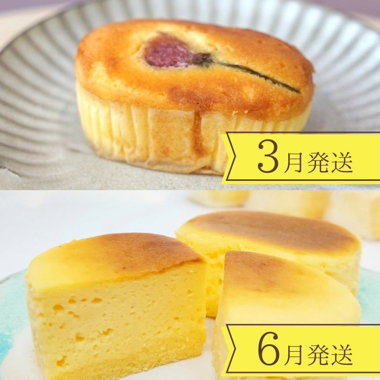 【4回定期便】〈洋菓子館ベルジェノア〉季節ごとに届く洋菓子定期便 ≪チーズケーキ スイーツ スフレ 半生 個包装 栗 桜 マドレーヌ フィナンシェ≫