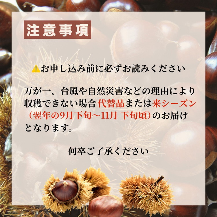 【先行予約】期間・数量限定 丹波栗 厳選大粒 1.2kg＜丹波四季菜料理 宮本屋＞ ｜くり 栗 丹波産 ※2025年9月中旬～10月下旬頃に順次発送予定