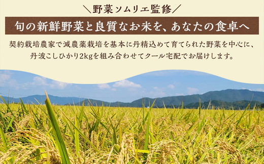 京都丹波・亀岡発 旬の野菜・こしひかり 詰め合わせセット● ※北海道・沖縄・離島への配送不可