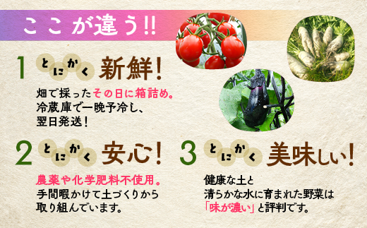 【6回定期便】＜アスカ有機農園＞旬の京野菜セットS＊毎月お届け全6回