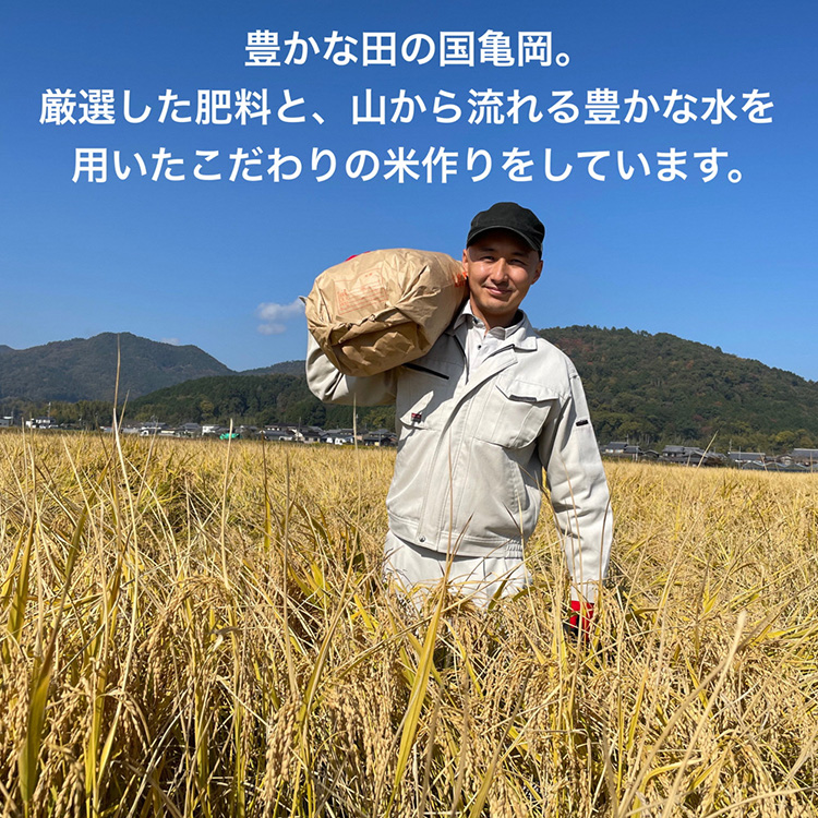【令和7年産先行予約】米 キヌヒカリ 玄米 20kg〈アグリにのうみ〉京都・亀岡産《令和7年産》◇ ※北海道・沖縄・離島への配送不可 ※2025年10月中旬頃から順次発送予定