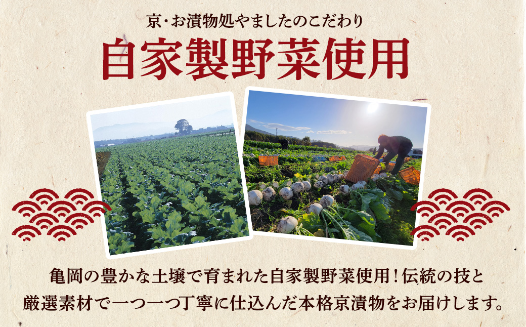 京漬物 16品 詰め合わせ＜京・お漬物処やました＞小分け 亀岡 野菜 京野菜 漬物 京都