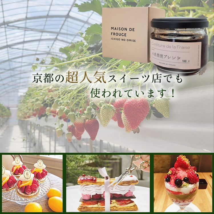 来シーズン予約受付 高級 京いちご 完熟 朝採れ 約1,000g（250g 4パック）小島農園 紅ほっぺ おいCベリー スターナイトから厳選≪訳あり 苺 イチゴ ≫離島への配送不可 ※2026年1月中旬～5月下旬頃に順次発送予定
