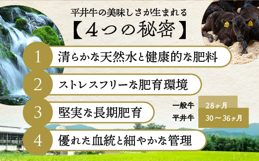 【7営業日以内発送】数々の誉れに輝く最高峰 黒毛和牛「平井牛」A5・A4 切り落とし 300g 京都 丹波牧場 自家産≪希少 和牛 京都肉 冷凍 真空 スライス すき焼き しゃぶしゃぶ 焼肉 ふるさと納税 牛肉≫
