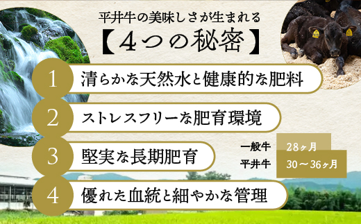 【7営業日以内発送】平井牛 ミックスホルモン 250g＜京都丹波牧場＞亀岡産黒毛和牛 自家産 ｜ ホルモン・レバー・ハツ・小腸・大腸・赤セン・センマイ・ギアラ 希少 A5・A4 和牛 国産 ホルモン 冷凍 送料無料