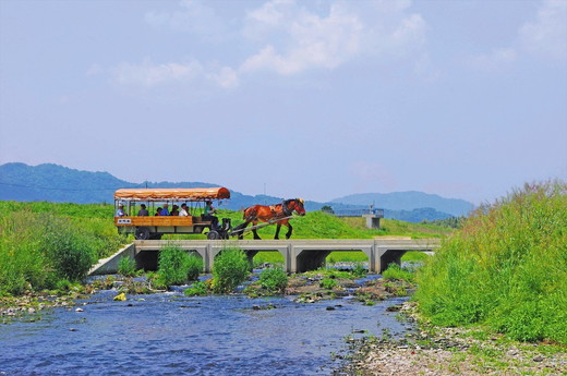 京馬車で行くトロッコ亀岡駅から保津川下り乗船場コース チケット 大人（13歳以上）2枚 ※（要予約）ご利用前に予約が必要です。