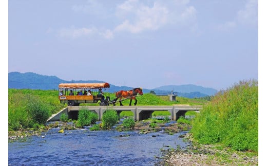 京馬車で行くトロッコ亀岡駅から保津川下り乗船場コース チケット 子ども（4歳から12歳まで） 2枚 ※（要予約）ご利用前に予約が必要です。