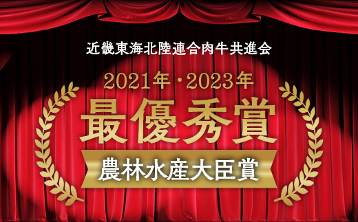 京都いづつ屋 厳選 ブランド和牛 亀岡牛 赤身 焼肉用 600g≪訳あり 和牛 黒毛和牛 牛肉 冷凍 焼肉 ふるさと納税牛肉≫