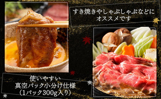 京都嵐山中村屋総本店厳選 国産黒毛和牛 切り落とし 600g（300g×2パック）≪訳あり 業務用 和牛 牛肉 真空冷凍 小分け≫