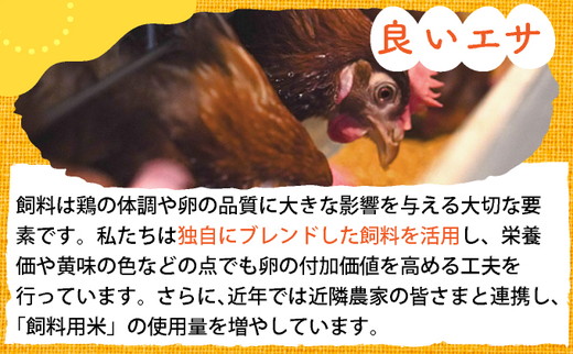 新鮮 卵 120個（100個+卵割れ保証20個）(10個×12パック)京都丹波『霧の卵』三和鶏園 ≪たまご タマゴ 玉子 生卵 鶏卵 小分け 贈答 ギフト ふるさと納税 卵 直送 冷蔵 朝食 料理 人気≫ ※北海道・沖縄・離島への配送不可