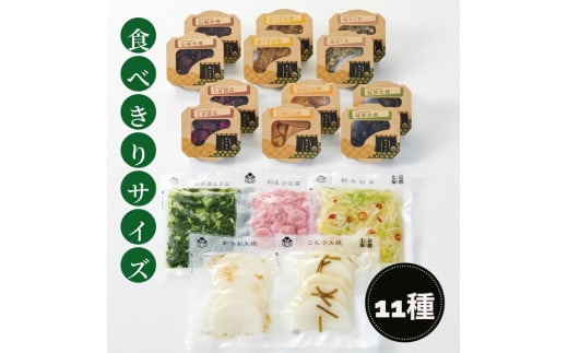 《京つけもの もり》ひとくちづくし 漬物 11種《ミニサイズ ご飯のお供 京野菜》