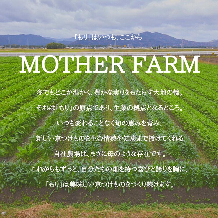 《京つけものもり》お試し 漬物 6種セット 《しば漬 すぐき たくあん など 京漬物 6品 京野菜 伝統 おためし 少量サイズ 試食 漬け物 乳酸菌 発酵食品》
