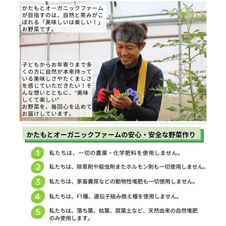 【期間限定】自然栽培のキクイモ 7kg 京都 亀岡産 かたもとオーガニックファームよりお届け《菊芋 野菜 産地直送 国産 健康 食品 ダイエット 芋》 ※離島への配送不可