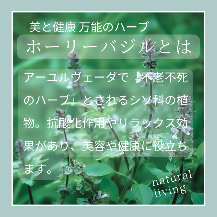 京都 ホーリーバジル 自然派化粧水 スプレーボトル 80ml スキンケア 保湿 敏感肌 混合肌 天然成分 低刺激 ギフト プレゼント 贈り物 コスメ 京都 亀岡産 天然由来 自然由来 植物由来