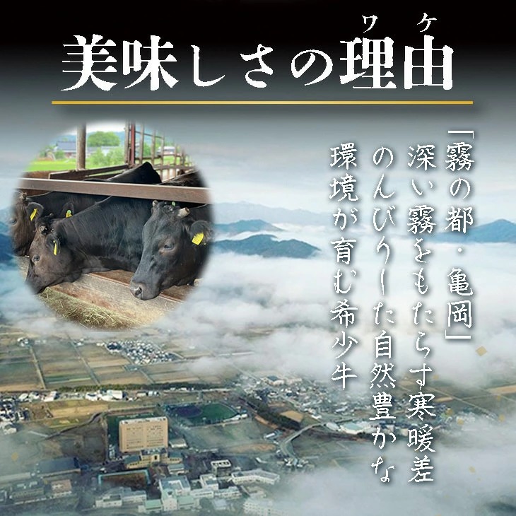 【全6回定期便】亀岡牛 定期便 亀岡牛専門店が厳選 お楽しみ 食べ比べ セット ≪冷凍 焼肉 すき焼き サーロイン ステーキ ローストビーフ 赤身 もも 肉 牛肉 国産牛 黒毛和牛 肉定期便 京都 丹波 BBQ 人気 おすすめ≫ ※離島への配送不可