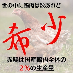 ＼期間限定特別寄附額／ 丹波赤どり むね肉 6kg セット（2kg ×3袋）京都亀岡丹波山本《鶏 鶏肉 ムネ ムネ肉 業務用 訳あり》