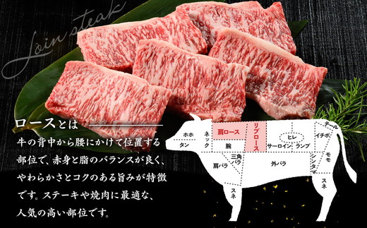 京の肉 ひら山厳選 京都府産 黒毛和牛 ロース ステーキ 切り落とし 100g×5枚 計500g｜特選 A5・A4ランク 熟成肉 和牛 牛肉 京都肉 国産 丹波産 冷凍