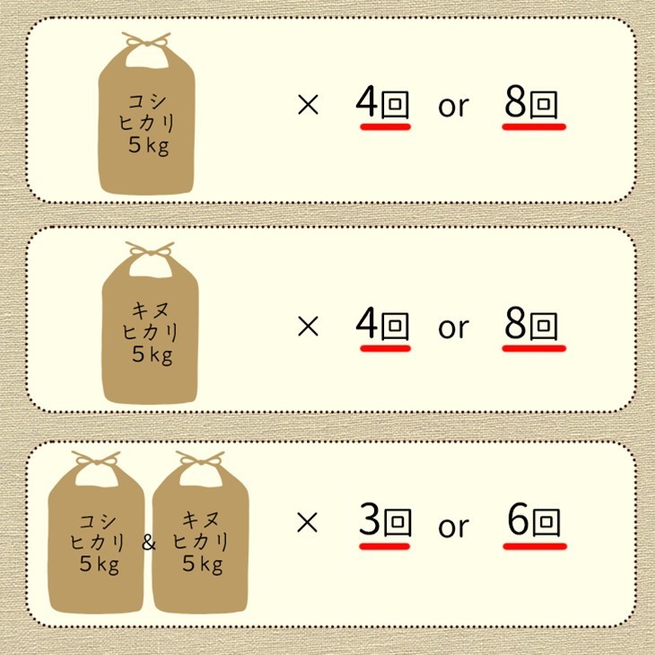 【定期便】令和7年産 新米 京都丹波米 10kg(こしひかり5kg・きぬひかり5kg)×6回 計60kg◇◆◇ 6ヶ月 白米 6回定期便 コシヒカリ・キヌヒカリ 各5kg 米 精米したてをお届け ※北海道・沖縄・離島への配送不可