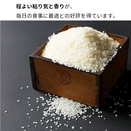 【12月末まで】令和7年産 新米 京都丹波米 きぬひかり5kg 白米 米◇◆◇ 食味鑑定士厳選 京都丹波産 ふるさと納税米 ※精米したてをお届け ※北海道・沖縄・離島への配送不可 ※2025年9月中旬以降順次発送