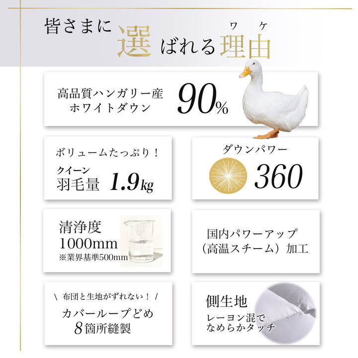 【パウダーグレー】＜京都金桝＞軽くて暖か 羽毛布団 本掛け ハンガリーホワイトダウン90％ クイーン 1.9kg DP360 立体キルト≪人気 日本製 京都亀岡産 掛け布団 ≫アクア