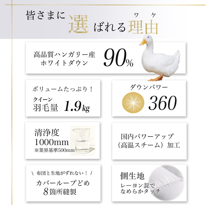 【アンバーホワイト】＜京都金桝＞軽くて暖か 羽毛布団 本掛け ハンガリーホワイトダウン90％ クイーン 1.9kg DP360 立体キルト≪人気 日本製 京都亀岡産 掛け布団 ≫アクア