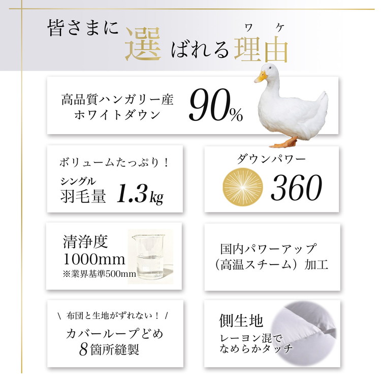 【パウダーグレー】軽くて暖か 京都金桝 羽毛布団 本掛け シングル ハンガリーホワイトダウン90％ DP360 日本製 京都亀岡産 ｜ 冬用 掛け布団 掛布団 ｜ アクア