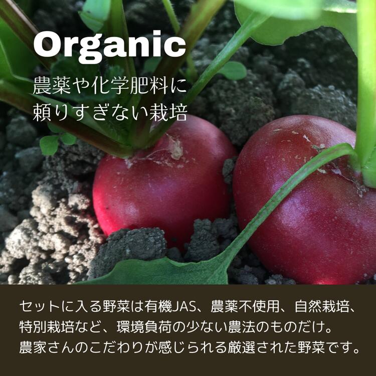 ＜３６９商店＞京都丹波産旬の野菜セット　※全て栽培期間中農薬・化学肥料不使用 ※北海道・沖縄・離島への配送不可