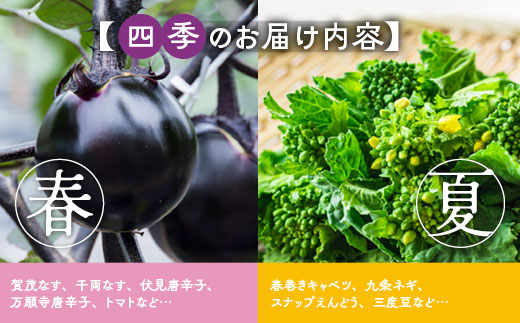 旬の京野菜 スペシャルコース≪京都 丹波 野菜 ふるさと納税野菜≫※沖縄・離島・諸島へのお届け不可