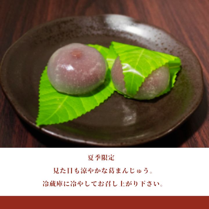 季節のお菓子【定期便】年3回お届け《丹波大納言本舗 朝日堂》保存料不使用 お取り寄せ ギフト対応 個包装 和菓子 スイーツ 最中 くり 餡 人気 詰め合わせ ※離島への配送不可