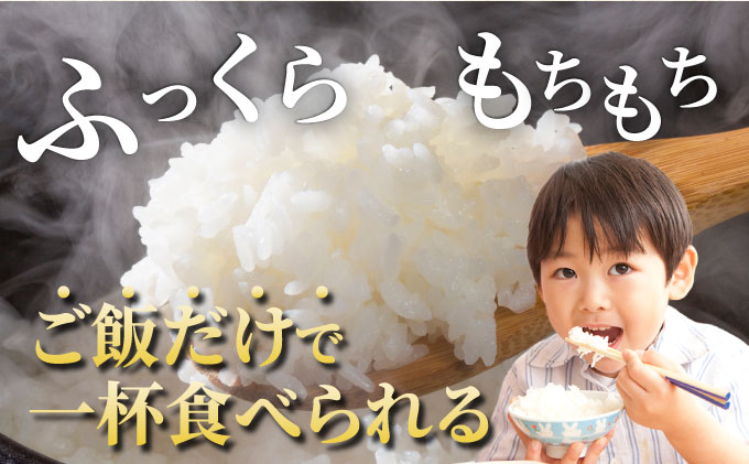 令和7年産 コシヒカリ 10kg 京都丹波産 農家直送 産地直送 スピード配送【～3月31日まで】※北海道･沖縄･離島への配送不可