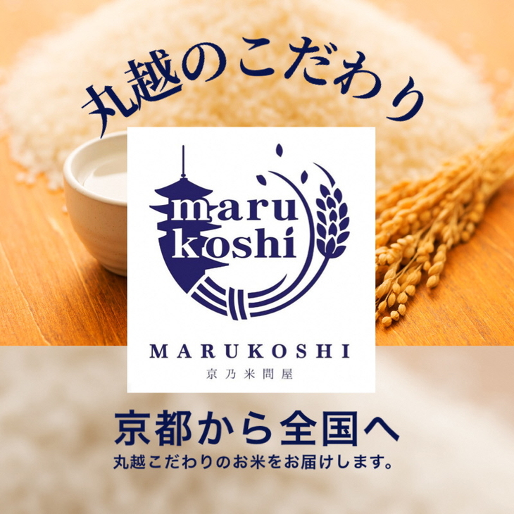 令和7年産 新米 京都サンガ応援米 京都丹波産 こしひかり 2kg ×4袋 真空パック 計8kg ※米食味鑑定士厳選 ※精米したてをお届け【京都伏見のお米問屋が精米】コシヒカリ 米 令和7年産 白米 ※沖縄本島・離島への配送不可 ※2025年11月上旬頃より順次発送予定