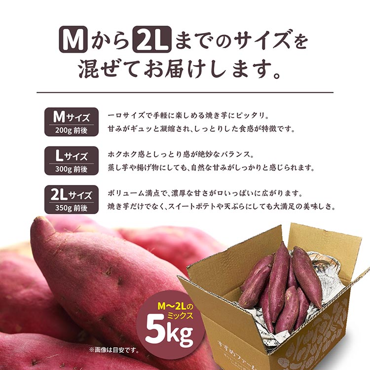 さつまいも 熟成 シルクスイート 5kg ｜ サツマイモ さつま芋 薩摩芋 オーガニック 有機栽培 有機JAS認証 焼き芋 やきいも 焼いも 芋 いも お芋 スイートポテト 甘露 季節限定 期間限定 野菜 スイーツ おやつ デザート ※2025年10月下旬以降収穫でき次第順次発送
